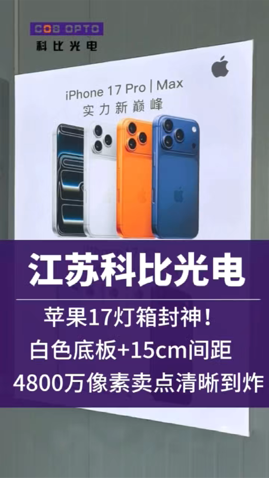 江苏科比光电有限公司